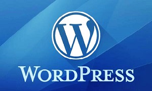 去掉WordPress左上角W和感谢使用WordPress创作